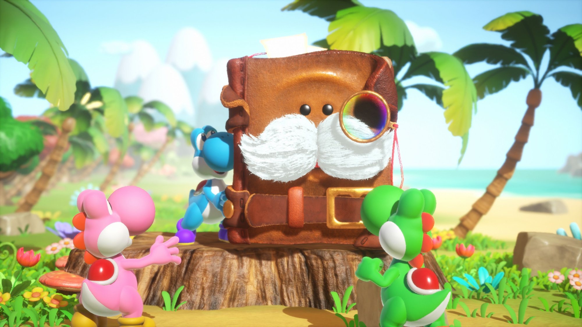 Nintendo Yoshi and the Mysterious Book Standard Nintendo Switch 2
