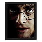 Harry Potter (Harry contre Voldemort) - Encadré