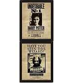 Harry Potter Potter Sirius Cadre lenticulaire 3D 28,7 x 23,5cm