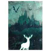 Smartoys Custom - Harry Potter Poster #4