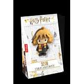 Harry Potter Hermione Granger USB Flash Drive 32GB